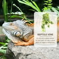 thumbnail image 4 of unbranded Planta Decorativa Para Reptiles Con Material Plástico Resistente Y Apariencia Natural Para Terrarios, 4 of 7