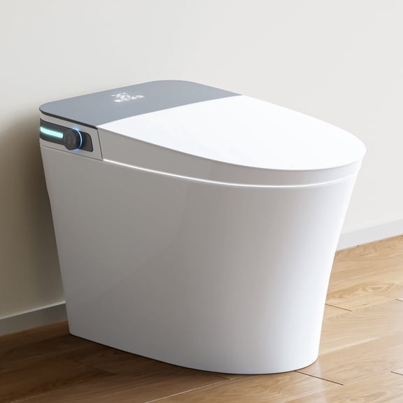 HOROW 10" Rough-in Bidet Toilet , White with Auto Open/Close Lid, Instant Warm Water, Elongated Heated Seat
