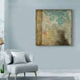 thumbnail image 3 of Trademark Fine Art 'Teal Patina IV' Canvas Art by Jennifer Goldberger, 3 of 4