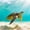 Hawaiian Green Turtle, variant on Elephant Stock Turtle Dive Wall Art - Horizontal Multi Panel Canvas - Living Room Wall Decor - Animal Multi Panel - Yellow And Green Decor - 84" x 54"
