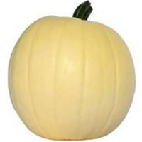 White Pumpkin, each
