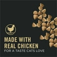thumbnail image 3 of Purina Pro Plan Vital Systems Dry Cat Food, Chicken & Egg, 3 lb Bag, 3 of 10