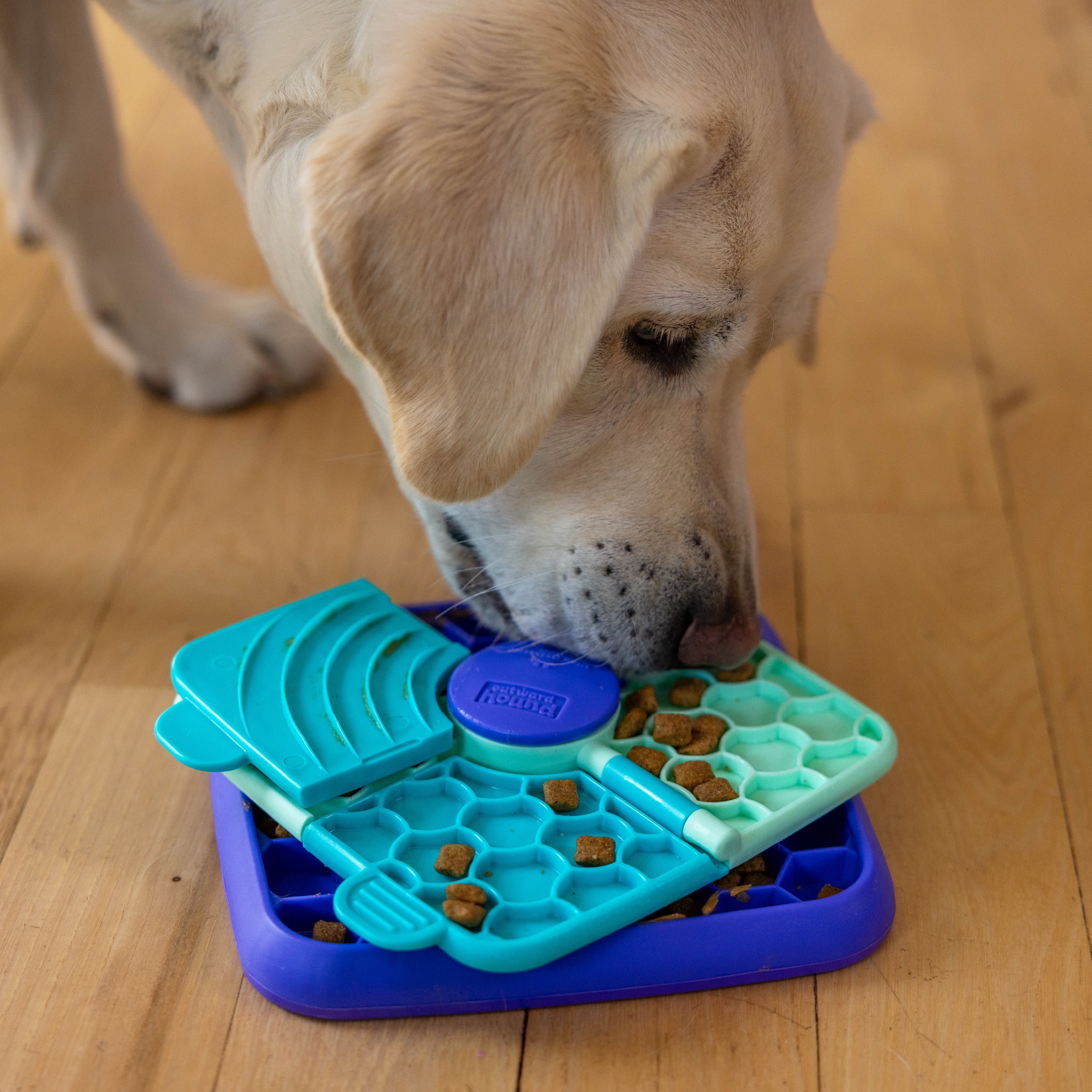 Outward Hound by Nina Ottosson Lick N’ Flip Level Dog Puzzle Toy, Lick Mat & Slow Feeder