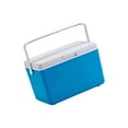 thumbnail image 6 of Portable Insulated Ice Chest Suitable for Camping Outdoor Picnics with Ergonomic Handle and PP Construction, 6 of 7