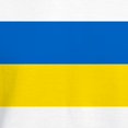 thumbnail image 3 of CafePress - Flag Of Ukraine Sweatshirt - Pullover Hoodie, Hooded Sweatshirt, 3 of 4