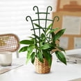 thumbnail image 6 of Plant Trellis for Pots Garden,Trellis for Potted Plants,Flower Pots Support,Stackable Plastic Mini Trellis for Climbing Plants Peas,Trellis for Climbing Plants,Sturdy Houseplant Support,1PC,10"x6", 6 of 9
