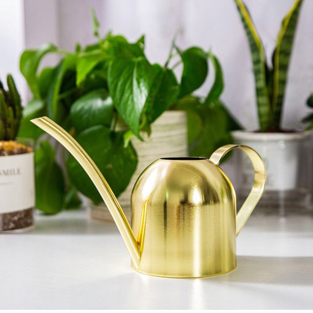 La regadera de acero inoxidable rega la flor puede regar jardín canarin planta agua botella casa 500 ml de oro (b)