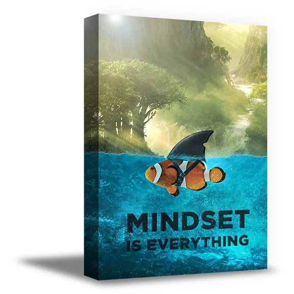 Awkward Styles Motivational Wall Art Inspirational Quotes Wall Art Motivational Wall Decor Inspirational Wall Art Canvas Mindset is Everything Fish Wall Art Optimistic Office Prints