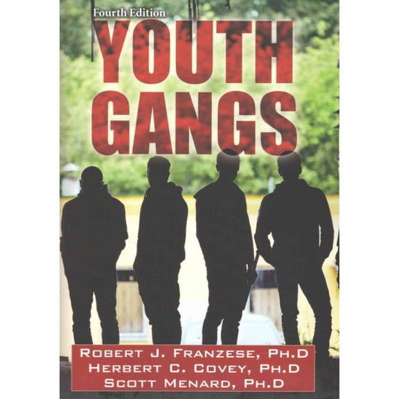 Pre-Owned Youth Gangs Paperback