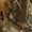 Realtree Edge, variant on Women's Endurance Jean Cut Pant with Agion Active XL