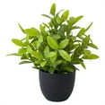 thumbnail image 2 of Fake Flowers Small Potted Plants Artificial Greenery For Home Decor Artificial Potted Plant Decoration Plant Combination Indoor Tabletop Decoration No Maintenance, 2 of 9