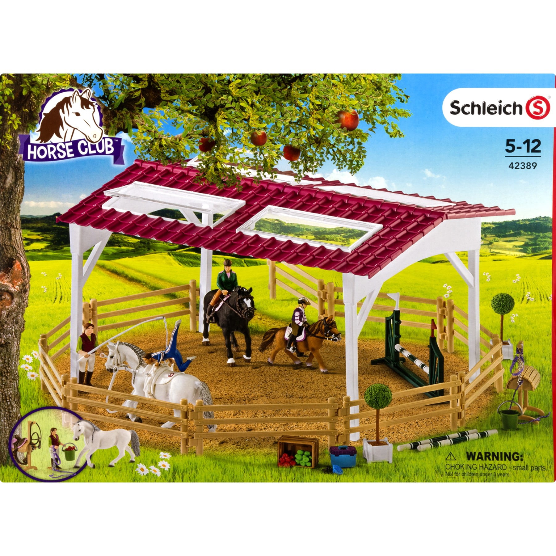 42389 schleich