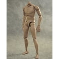 thumbnail image 4 of 3 piezas músculos corporales groseros masculinos para juguetes calientes TTM18 TTM19 Hugo Cuerpo de la figura de acción de la 6ta escala, 4 of 7