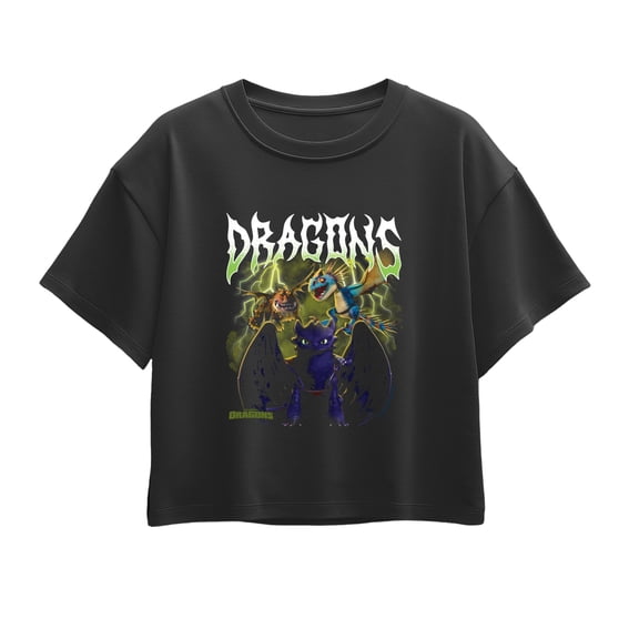 How to Train Your Dragon - Dragons Metal Girls' Short Sleeve Boxy Graphic T-Shirt