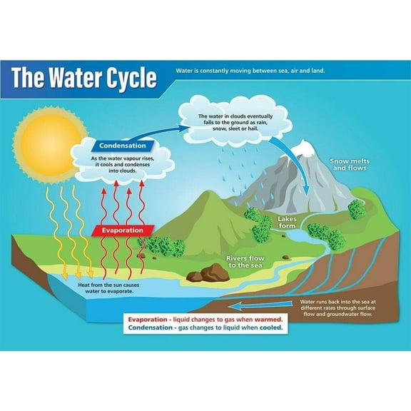 The Water Cycle Science Classroom Poster STEM Middle & High School Class Decoration