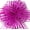 Fuchsia, variant on Allgala Shipped Flat Ribbons & Bows, Polyester Gold, 12 Count