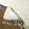 thumbnail image 3 of BoutiqueRugs Birdwell Bohemian, Transitional Area Rug - Black, Cream - 8' x 10', 3 of 9