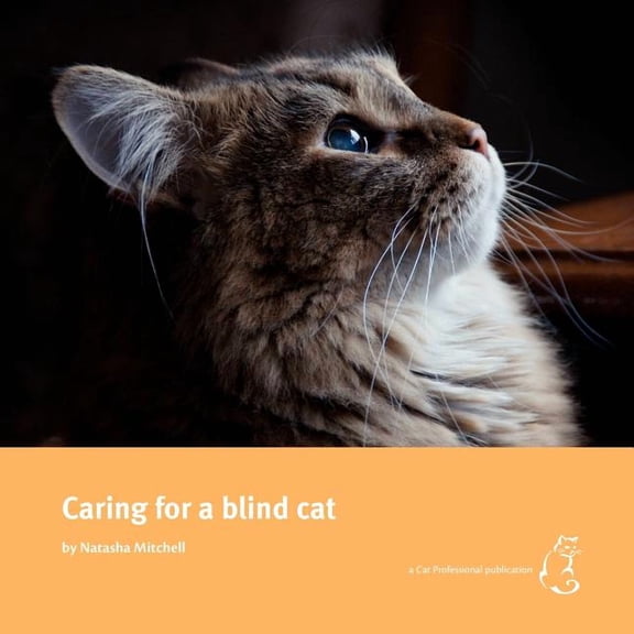 Caring for a blind cat (Paperback)