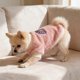thumbnail image 4 of Ropa de invierno para mascotas de dos patas, cálida, suave y acogedora, para perros pequeños, medianos y gatos, para uso en interiores y exteriores. Ropa de poliéster para mascotas., 4 of 6