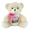 WAY TO CELEBRATE! Mother’s Day 11.5" Embroidered Bear Plush Toy