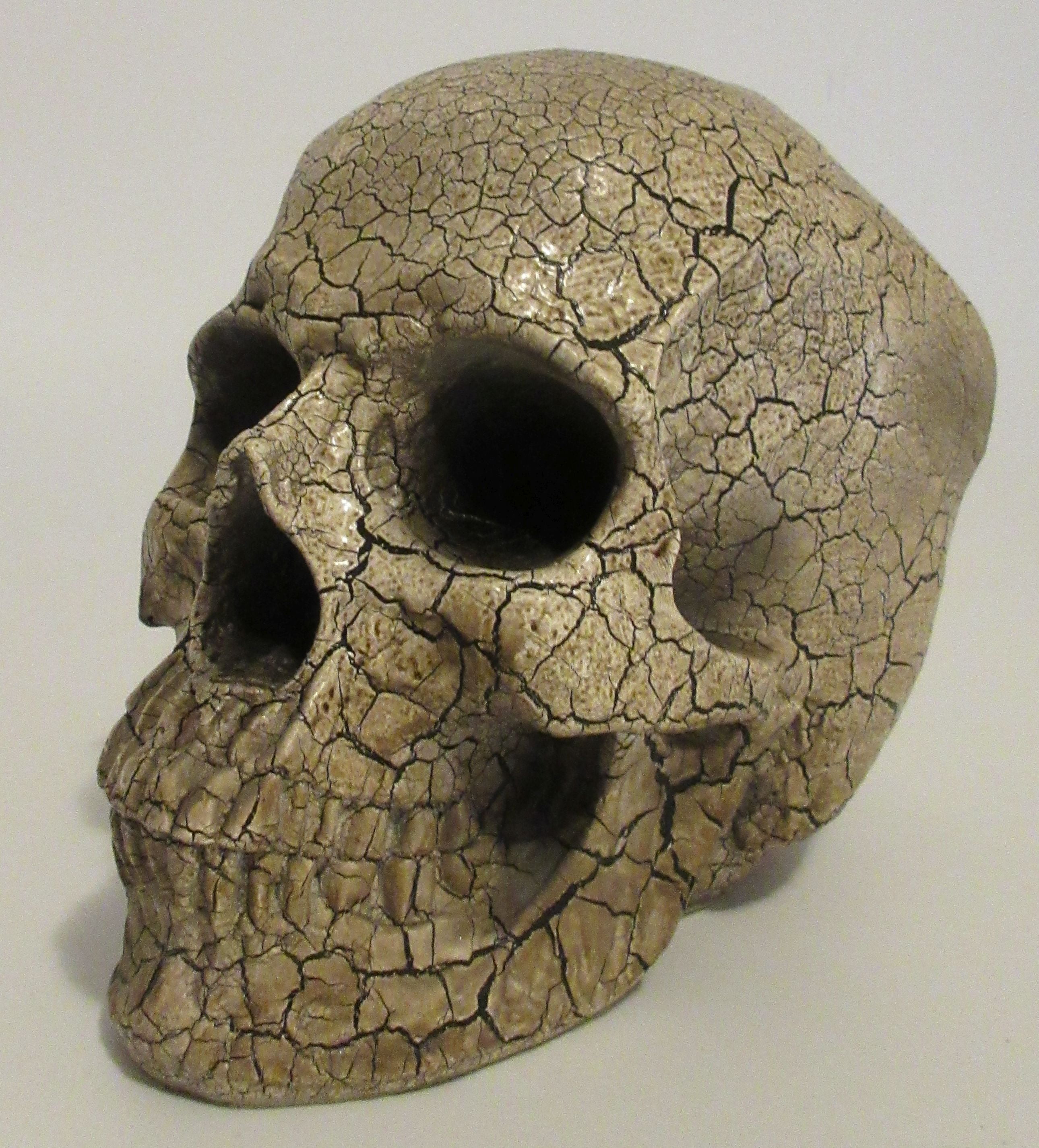 Skull Blue Flower Resin Skull Head Paper Weight Desk Alter Home Decor Halloween
