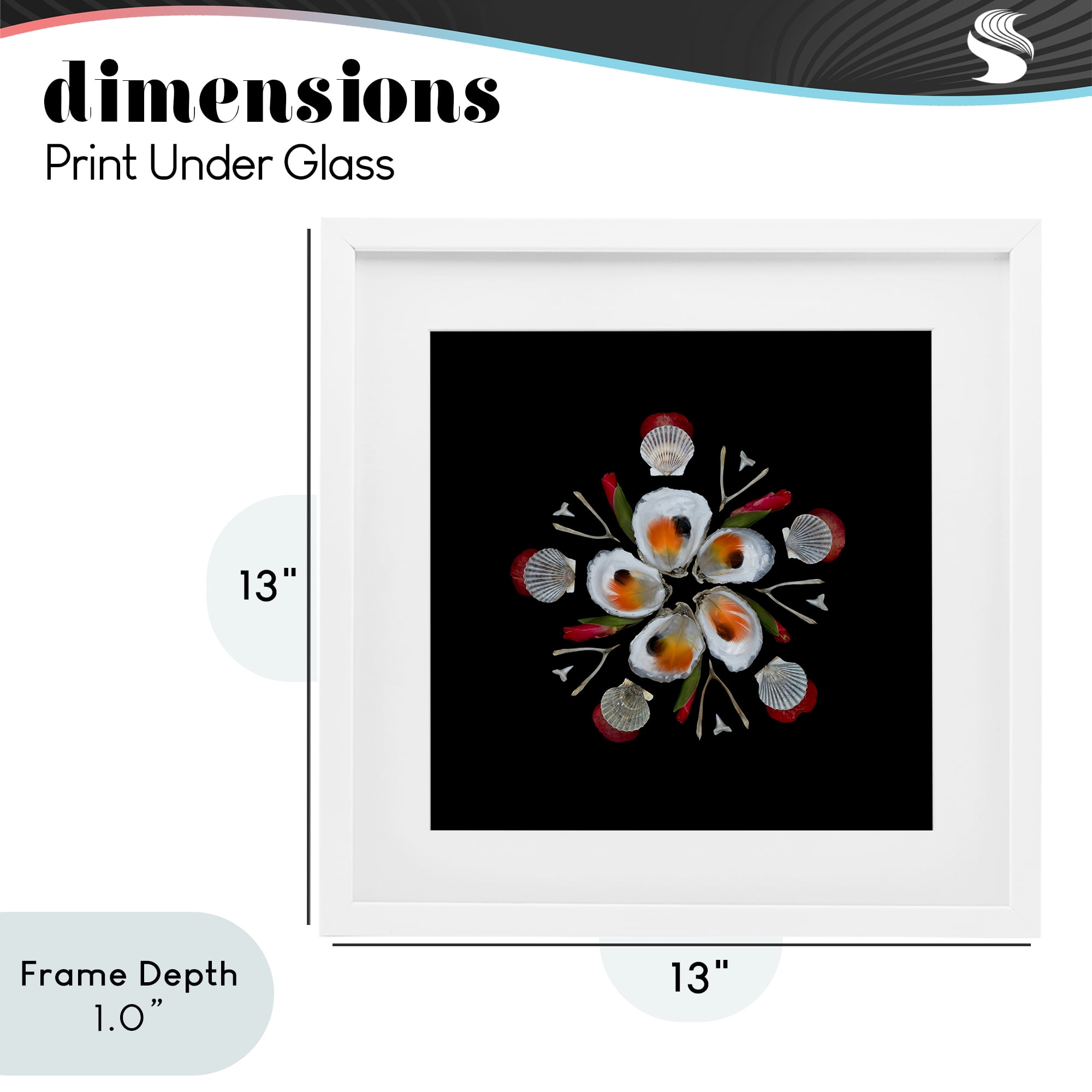 Stupell Industries Nautical Oysters Mandala White Framed Print Under Glass, design by Beth Adoette