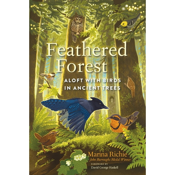 Feathered Forest: Aloft with Birds in Ancient Trees, (Hardcover)