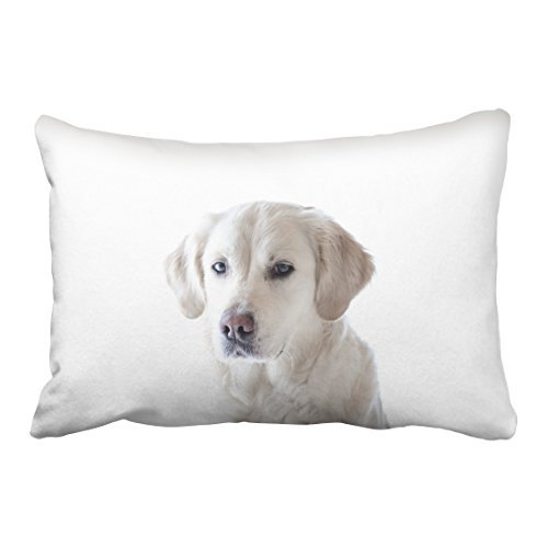 RYLABLUE Cute White Labrador Lovely Simple Decorative Pillowcases With Hidden Zipper Decor Cushion Covers Two Side 20x30 inches