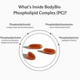thumbnail image 5 of Suplemento BodyBio Phospholipid Complex 100 cápsulas blandas, 5 of 5