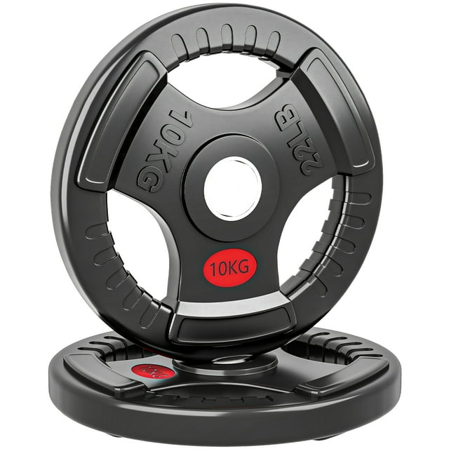 Soozier Ensemble de Plaques de Poids 2 x 22 Lb, Ensemble de Poids pour Barre de 2 Po