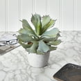 thumbnail image 4 of Nearly Natural 11in. Succulent Artificial Plant, 4 of 4