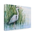 thumbnail image 2 of Tim O'Toole 'Heron in the Marsh I' Canvas Art, 2 of 4