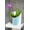 Blue, variant on DecoPots - Self Watering Orchids Pot 5.5 inch - Wicking Pot for Flowers - Drainage and Water Level Indicator - Plant Planter 5.5", Lavender