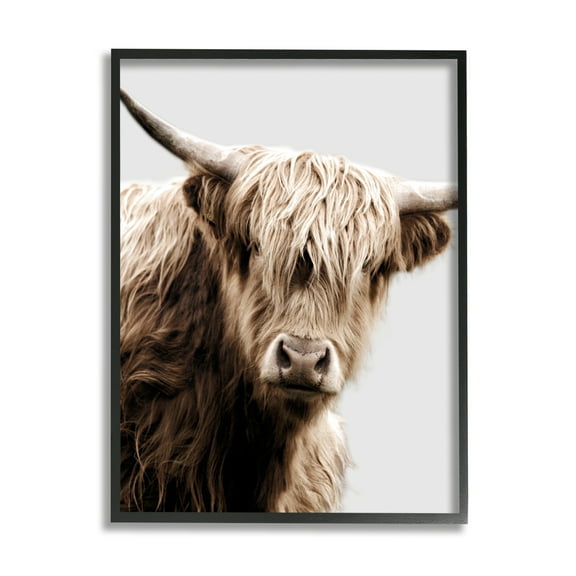 Stupell Industries Wooly Cattle Portrait Animals & Insects Photography Black Framed Art Print Wall Art, 11 x 14