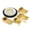 Black & White, variant on Exquisite 240 Piece Cream Victorian Disposable Plastic Dinnerware Combo Set, Serves 40 Guests
