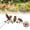 Khaki-1pc, variant on Robin Garden Stake, Rustic Robin Bird Yard Art Decorations with Dandelion Accent, Metal Robins Bird Garden Sculpture for Lawn Patio Flower Bed Walkway