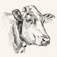 thumbnail image 3 of Parker, Jennifer Paxton 15x15 Black Modern Framed Museum Art Print Titled - Holstein Portrait Sketch I, 3 of 5
