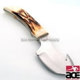 7" The Bone Collector Hunting Knife Real Genuine Burnt Bone Handle