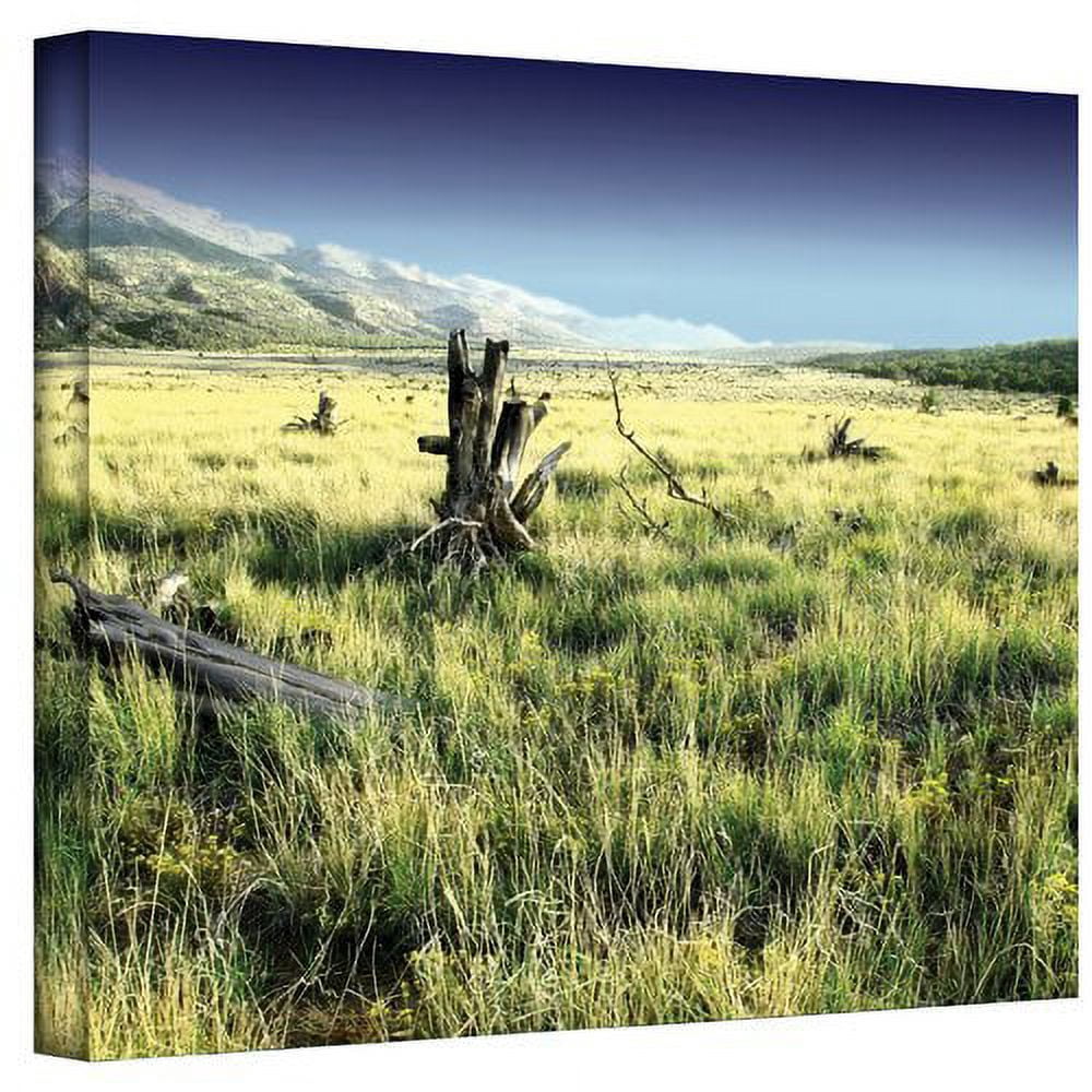 Mark Ross "Fall Creeps" Wrapped Canvas Art