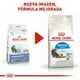 thumbnail image 2 of Alimento para gato Royal Canin Indoor Adult de 3.18Kg Royal Canin Indoor Adult, 2 of 4