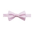 thumbnail image 1 of Ryan Seacrest Mens Dot Self-tied Bow Tie, Pink, One Size, 1 of 1
