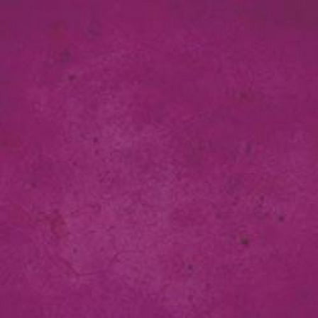 Ten Second Color™ (TSC) Concrete Dye Concentrate Makes 32oz. Professional Grade and Easy to use. Brilliant Bold Colors. Semi-Transparent Cement Dye. Dries in Seconds (Violet)