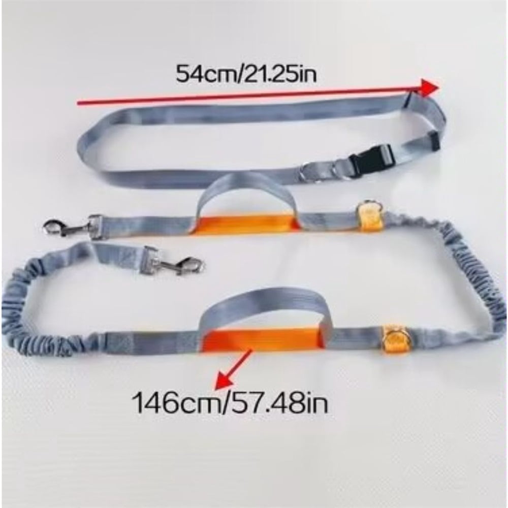 Hands Free Dog Leash, Retractable Dual Handle Bungee Leash, Adjustable Waist Dog Running Belt for Running, Walking, Training, Hiking, Traveling（Gray/Orange）