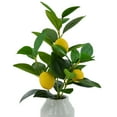 thumbnail image 6 of Mainstays 16” Indoor Artificial Lemon Plant in White Ceramic Pot, 6 of 6