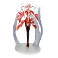 thumbnail image 1 of Figura de anime de la colección de juguetes Yuzuriha Inori, 16 cm, PVC, 1 of 1