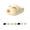 A-2, variant on Pawly Prints Shoes, Cat Paw Slippers Non-Slip, Pawly Prints Slippers