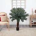 thumbnail image 5 of Nearly Natural 4ft. Cycas Artificial Tree UV Resistant (Indoor/Outdoor), 5 of 5
