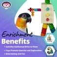 thumbnail image 4 of Super Bird Creations SB1183 Balsa Bot Bird Toy - for Medium Size Bird, Made of Balsa Wood with Colorful Accessories - Parrots, Ringnecks, Medium Conures - Perfect Chew Toy for Parrots - 12 x 6.5, 4 of 7
