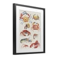 thumbnail image 2 of Stupell Industries Rustic Lodge Nautical Crustacean Collection Black Framed Print Under Glass, 13 x 16, by June Erica Vess, 2 of 8