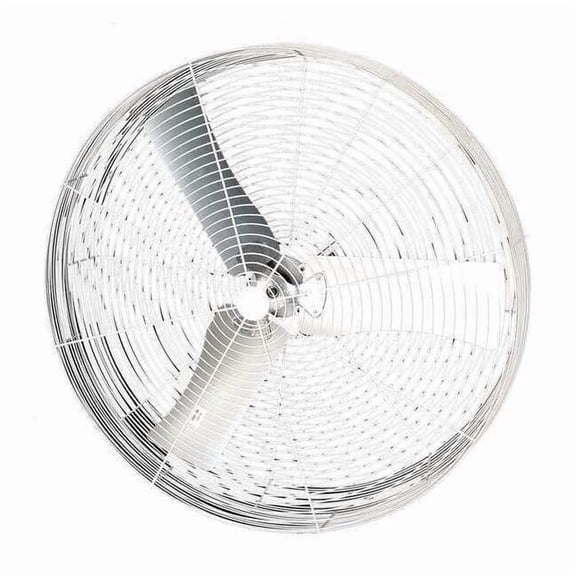 Dayton Air Circulator ,36" Dia.,1 Speeds,0.5V 36B8WN-G